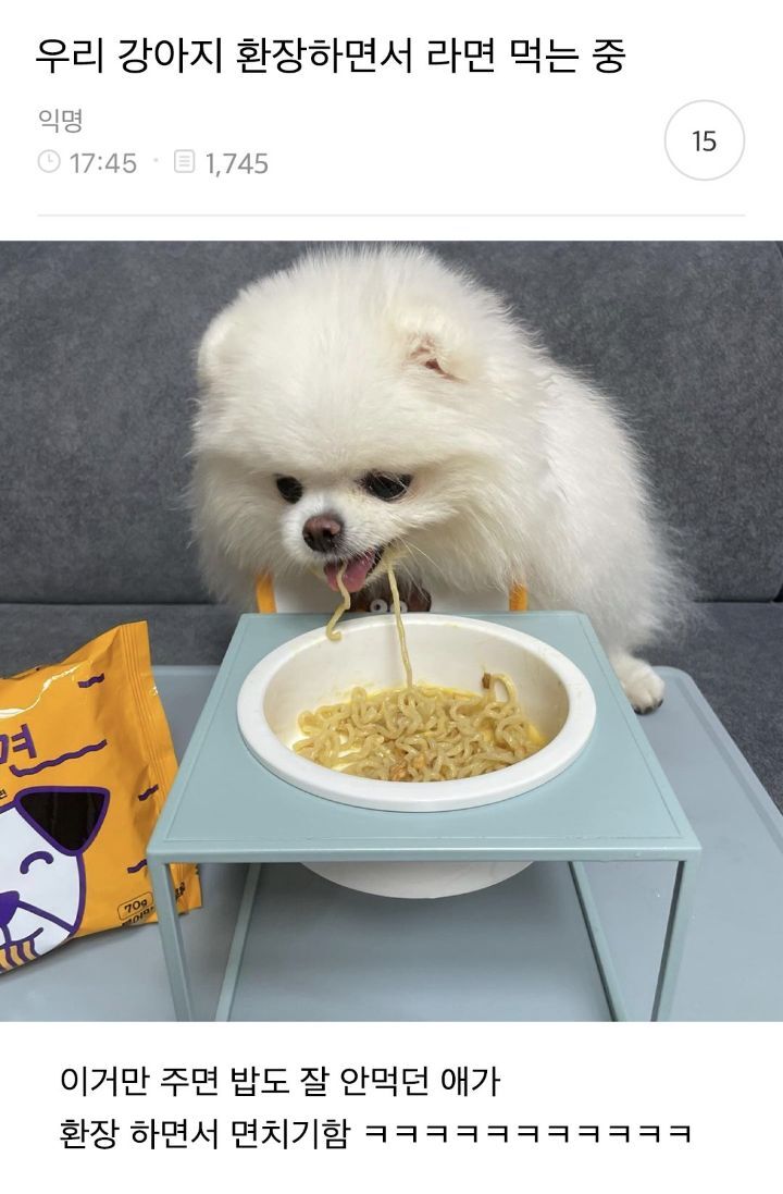 개발자 본인 라면 먹을 때 자꾸 쳐다봐서 만들었다는 댕면 | 인스티즈