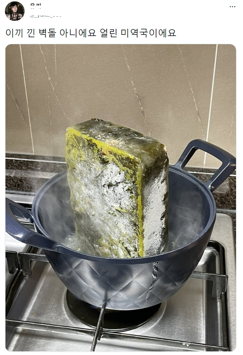 이끼 낀 벽돌 아니에요.jpg | 인스티즈