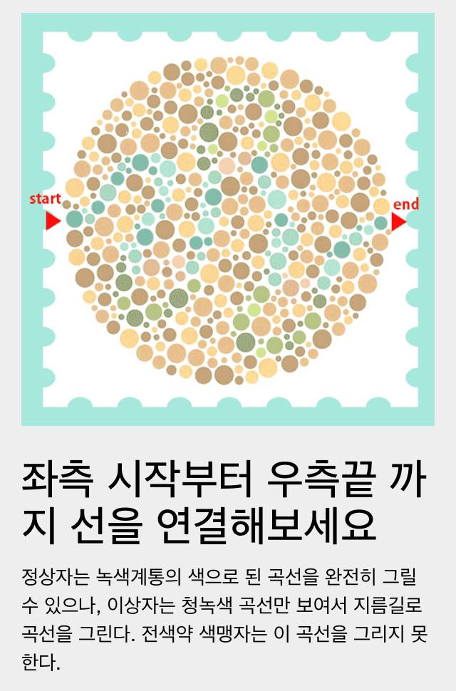 이게 무슨 숫자로 보여? [색맹/색약/색각이상] - 유머/이슈 - YULDO