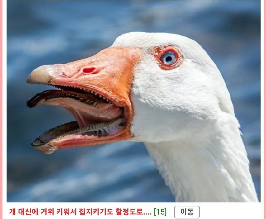 991589905_vK6m82cM_BlxtT1e3YAObisyE.jpg