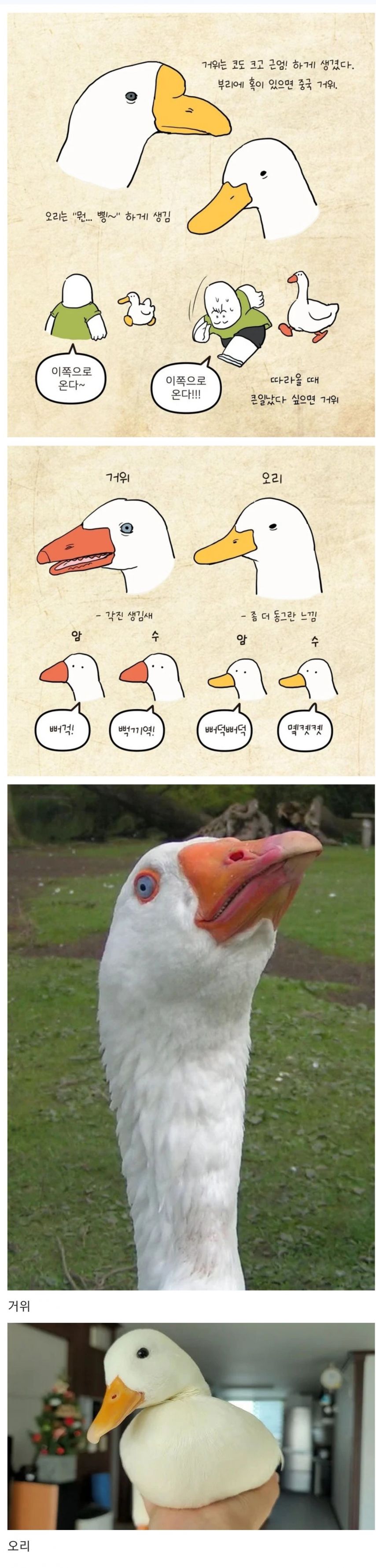 991589905_noTCVQy9_4Ia86tkibxZXzW2u.jpg