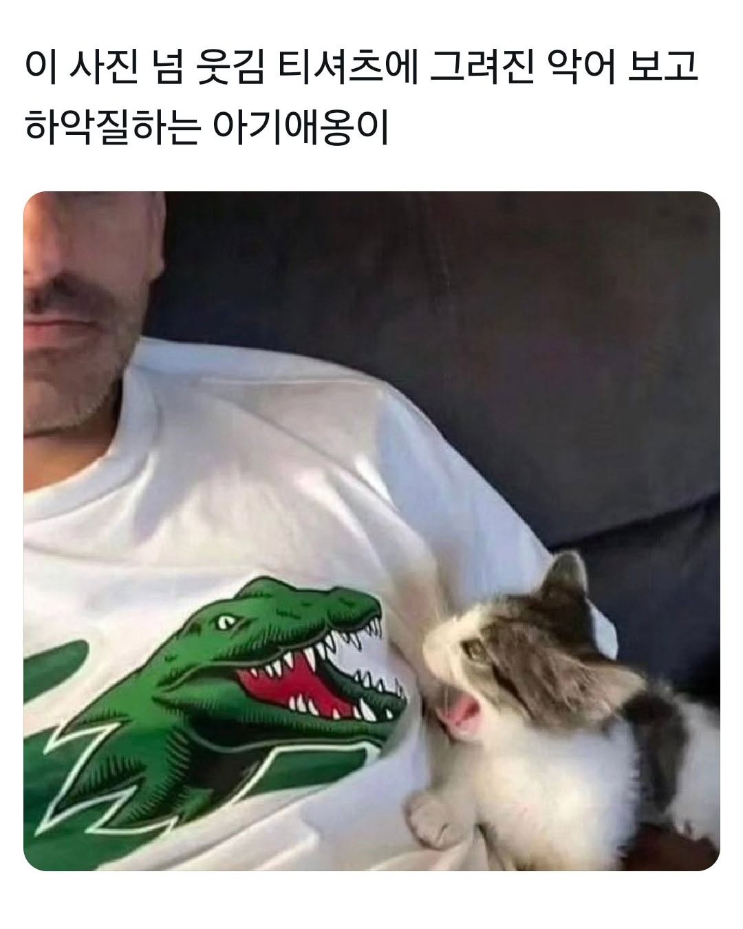480276732_122188493510124917_3872564809630478429_n.jpg