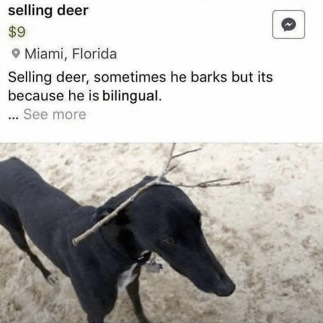 GlK--JjbQAAc5Wm.jpeg