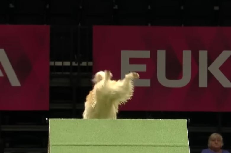 Screenshot_20250308_021253_YouTube.jpg