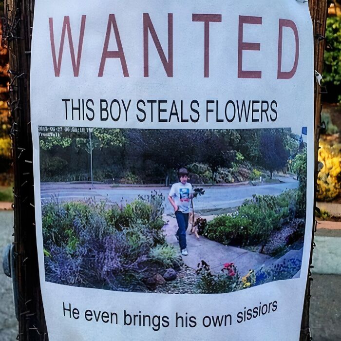 67a5c14a133cb_pretty-funny-bad-garden-ig-pictures.jpg