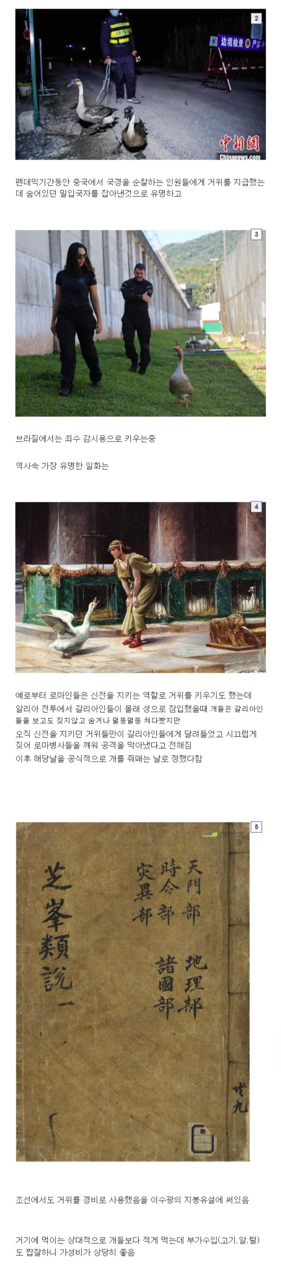 Screenshot_20250321_230511_Chrome.jpg