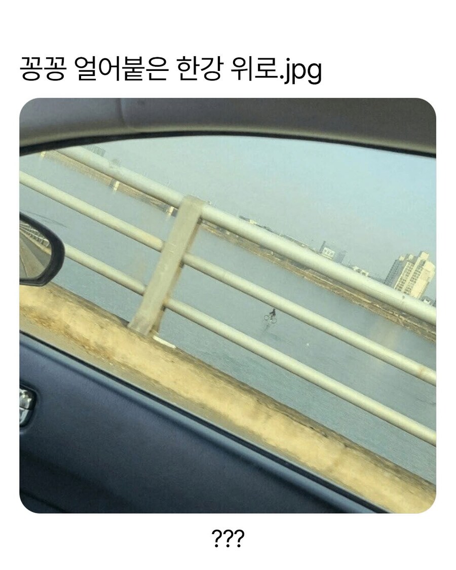 IMG_7682.jpeg