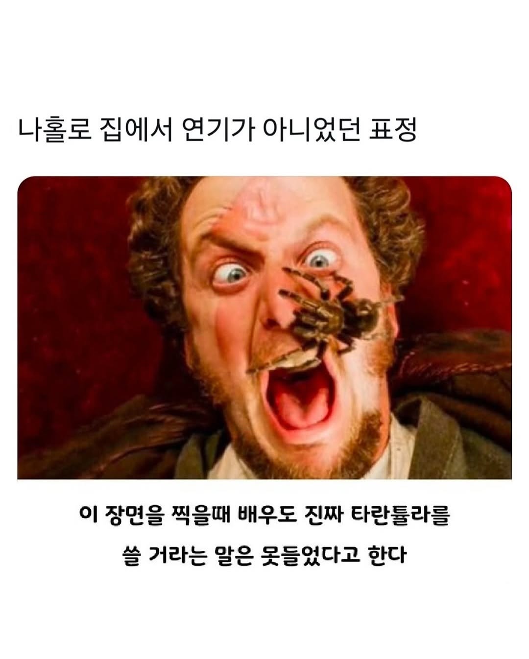 485773787_18042281156524437_8665184182011600811_n.jpg