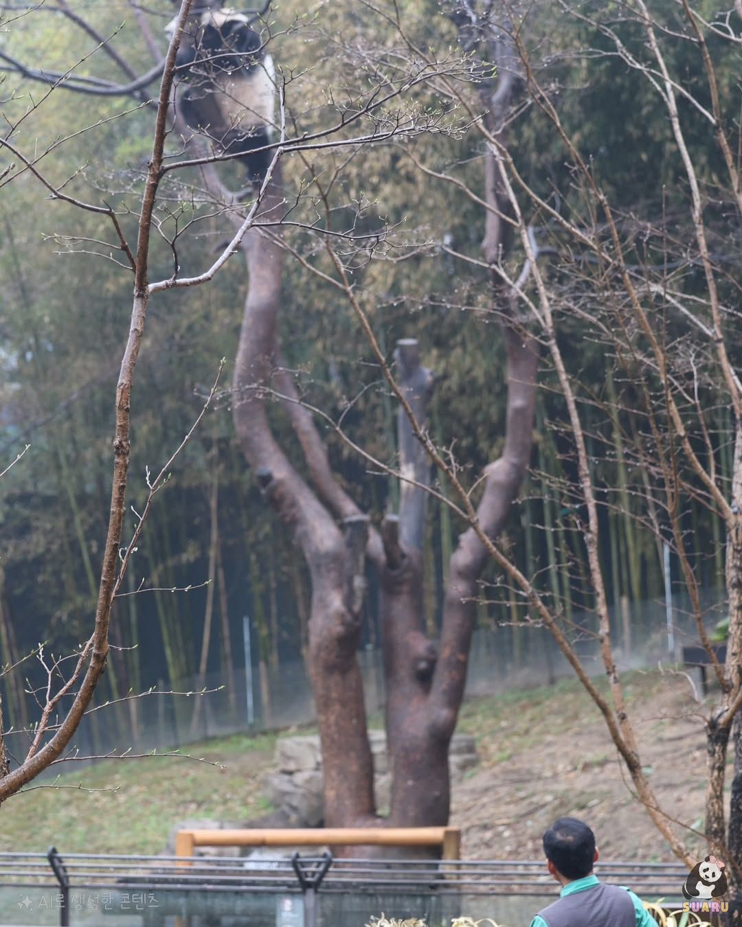 heic_suaru_fubao_23802ce2a65c41fd8eb124830e833c3f_20250405_133915_937.jpg