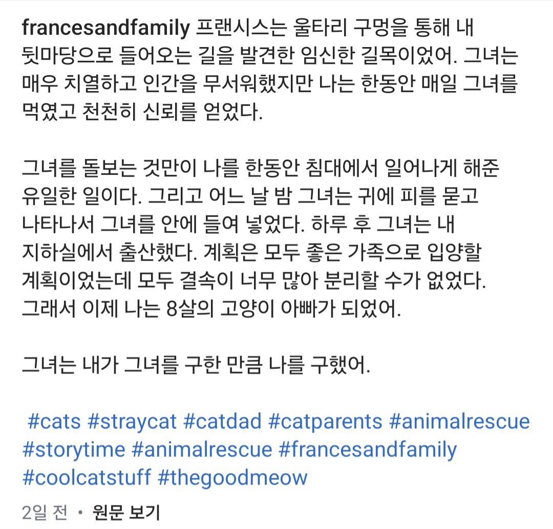 Screenshot_20250407_062050_Instagram.jpg