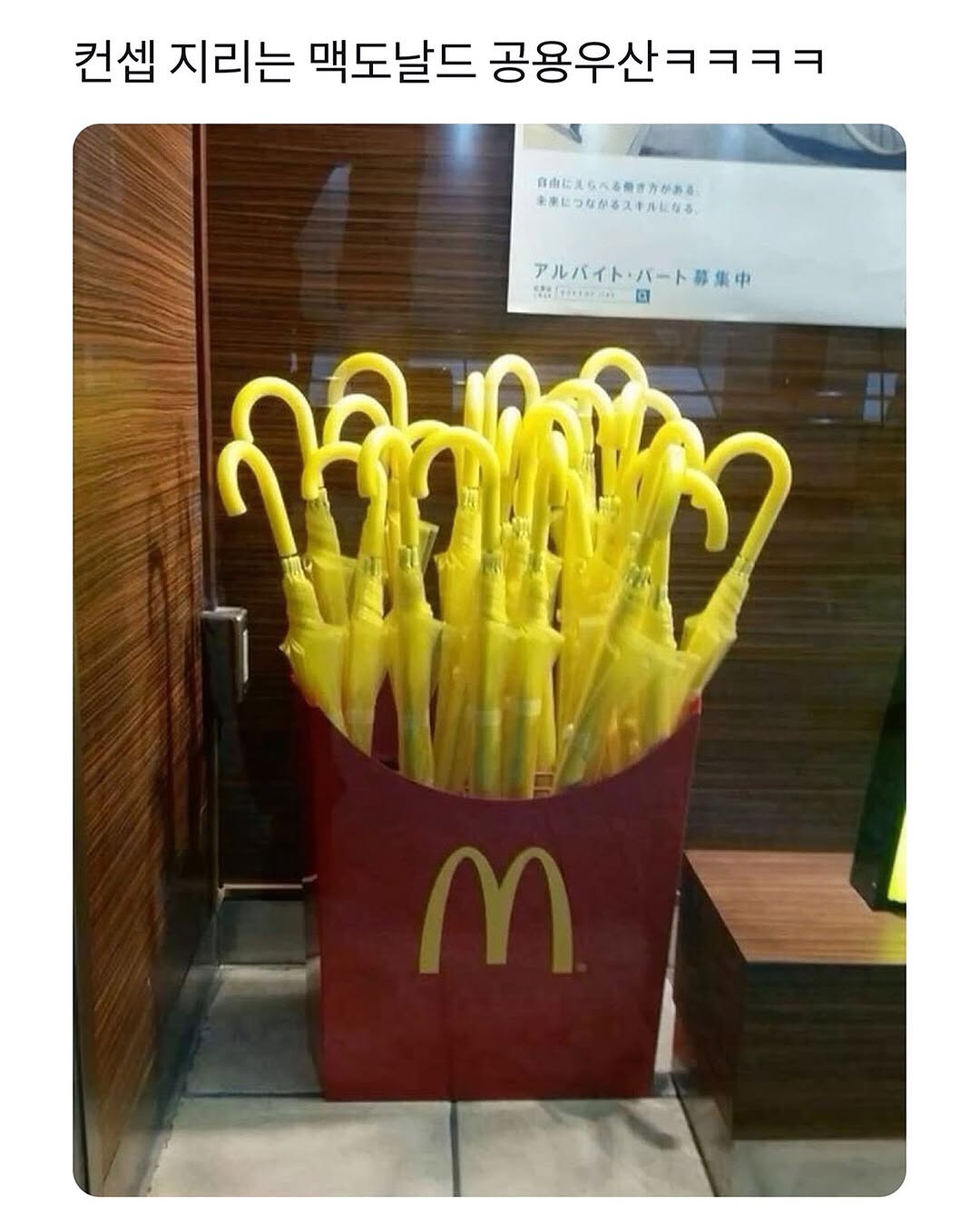 488606855_18038191985448089_4986538057936370738_n.jpg