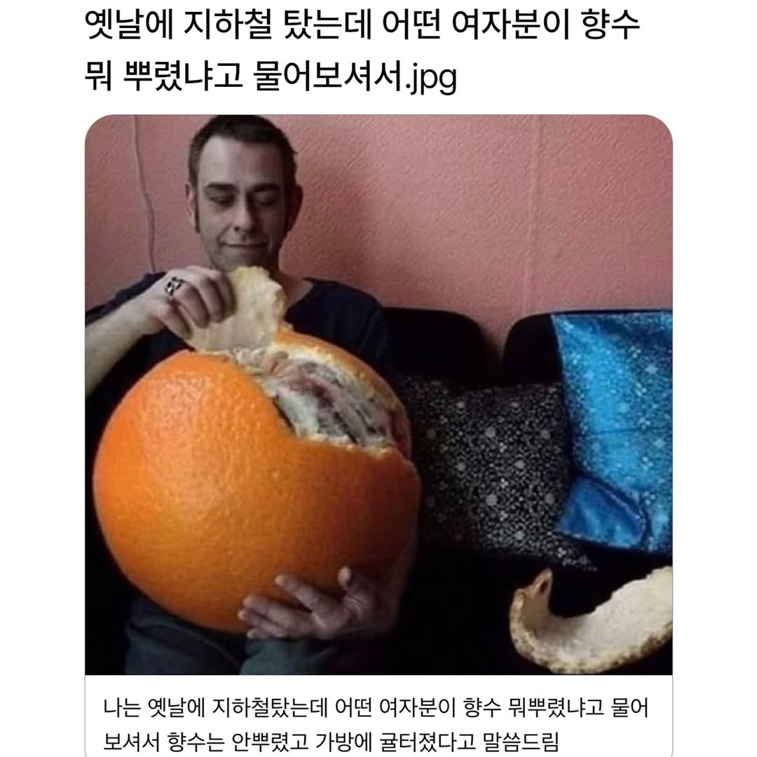 487779472_17963707724911855_4446634558812430429_n.jpg
