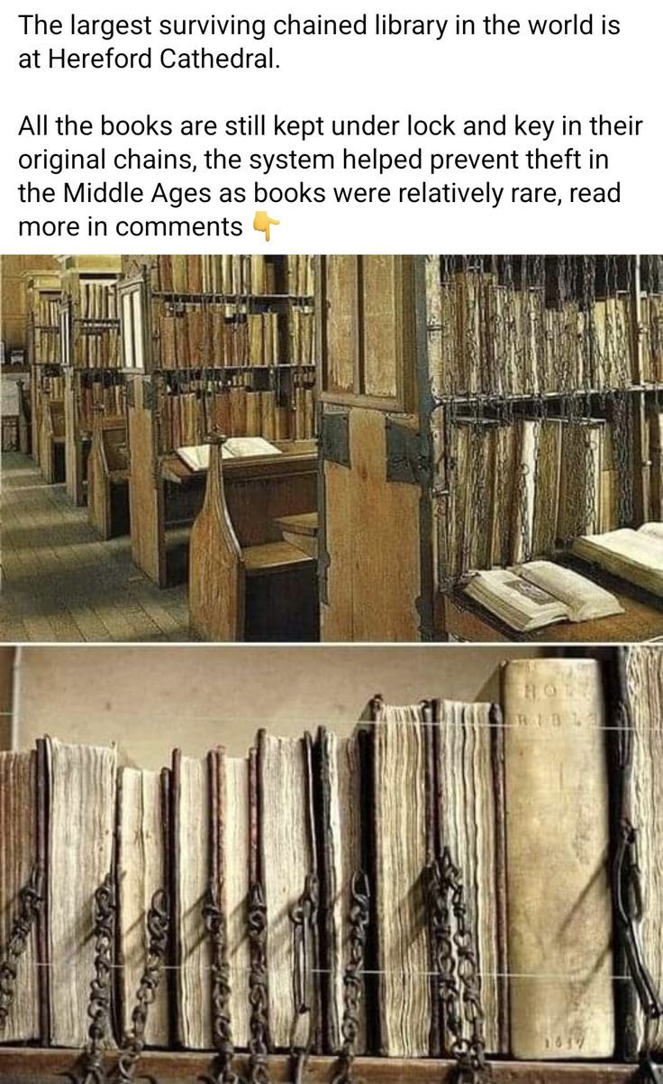 5ad67ad13123e395b28cca0d6d635777.jpg