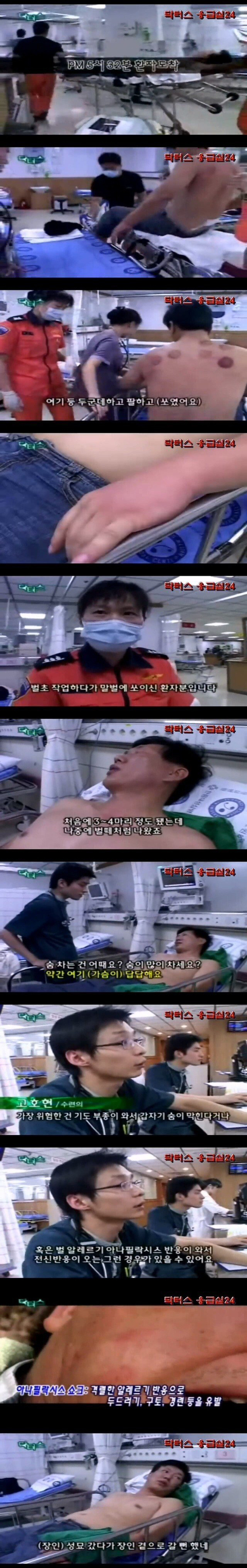 66UlnE6YFOWogiycaawywS.jpg