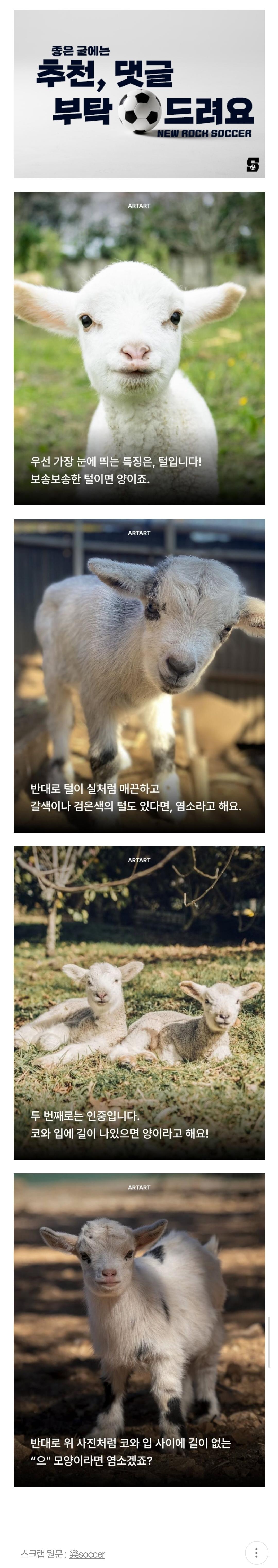 Screenshot_20250504_222000_Samsung Internet.jpg