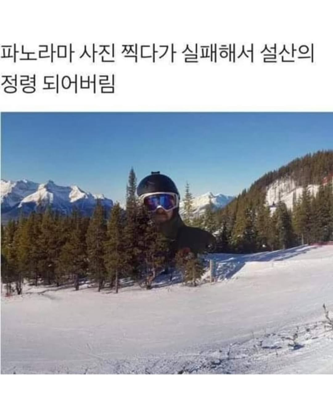 491440299_2081676849004289_5866474888783630964_n.heic.jpg
