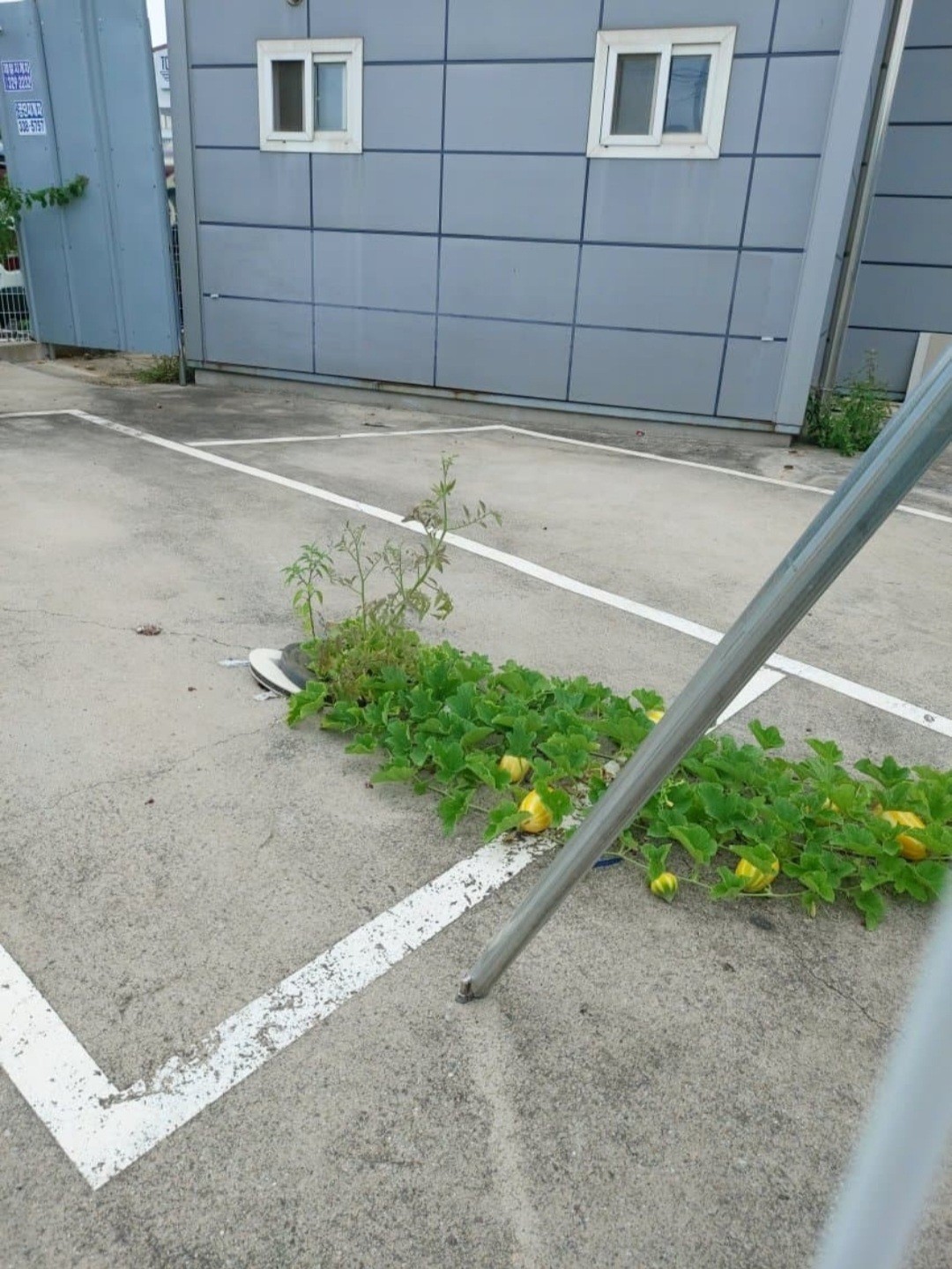 사본-2CA50E09-E350-4755-BF44-E58FDA9E83DE_20250508_182308_475.jpeg