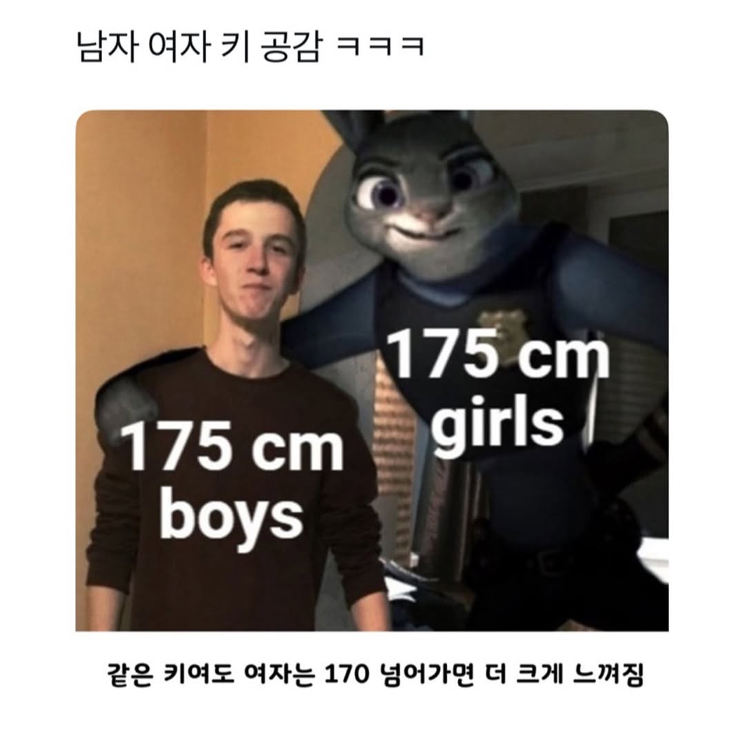 495952195_17967734201911855_5488562632297127489_n.jpg