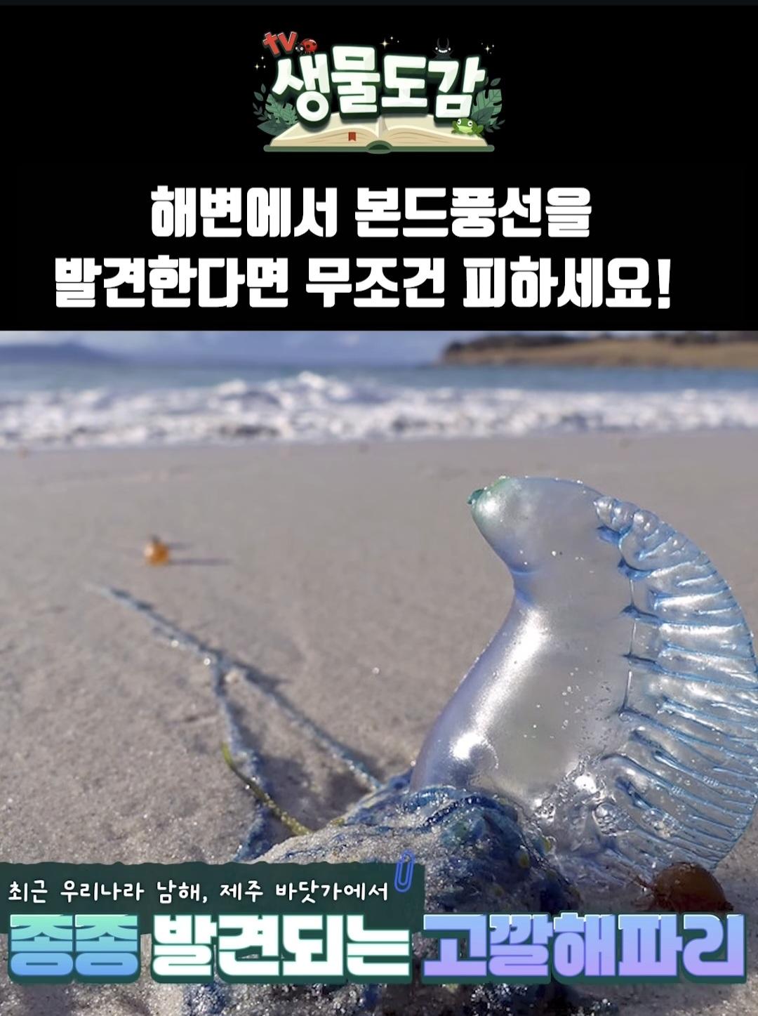 Screenshot_20250510_233934_Instagram.jpg