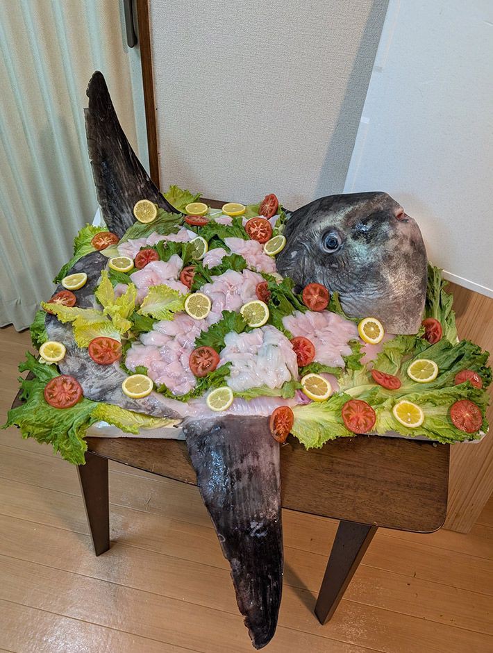 8f0ff38488dd682247925d4b615546b6.jpg