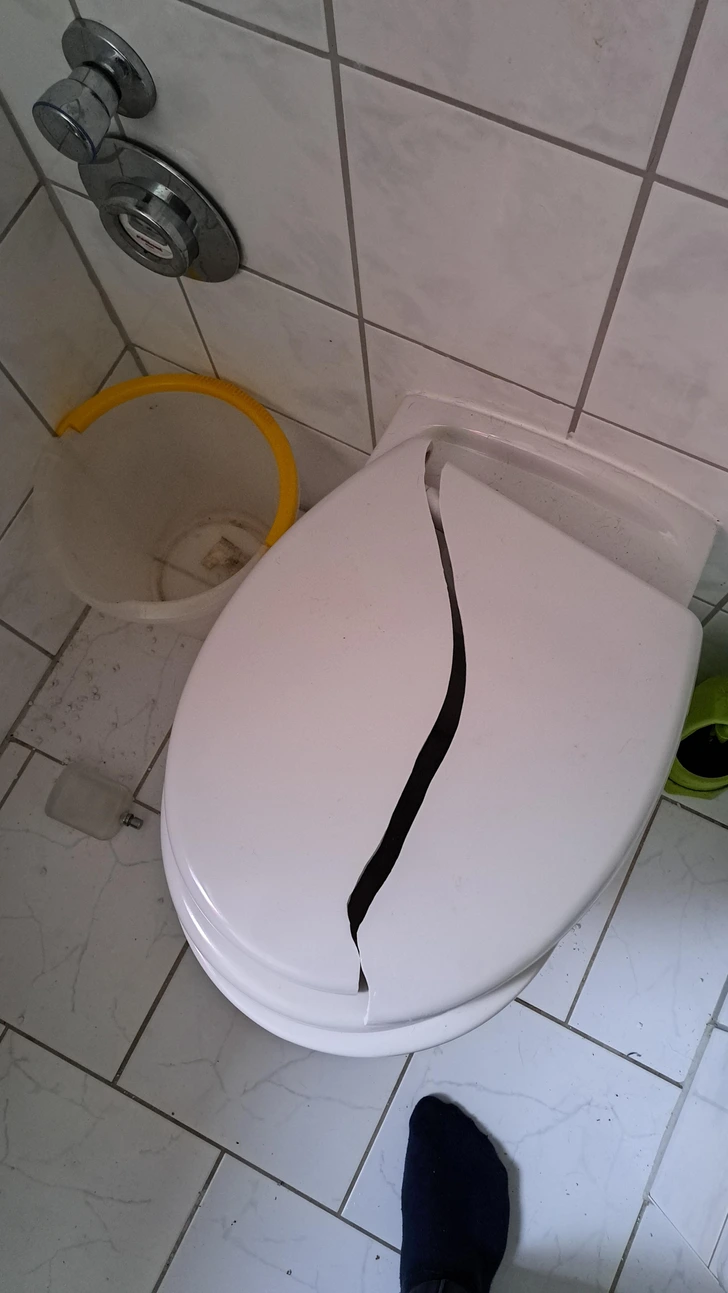 6430a0568683b9af98cdafd307.jpg.webp