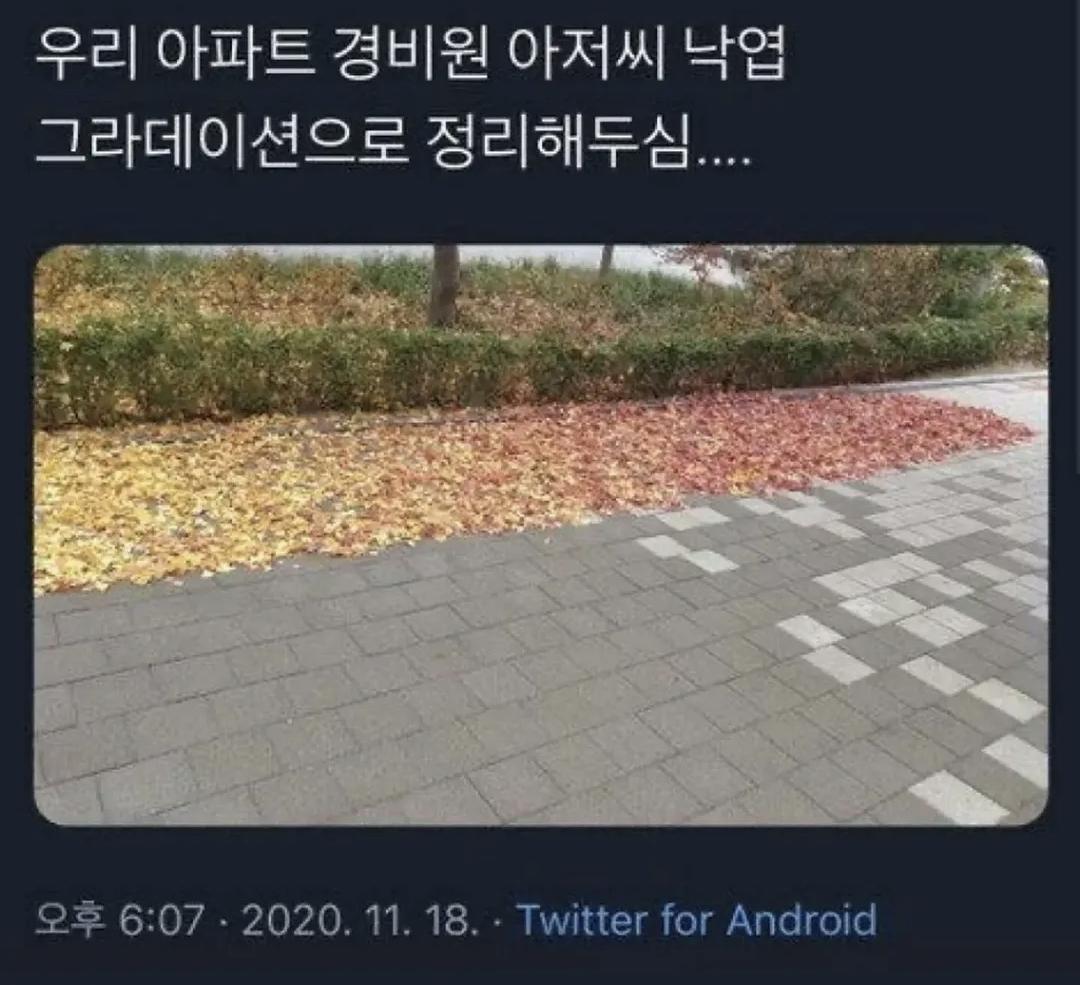 Screenshot_20250607_202105_Instagram.jpg