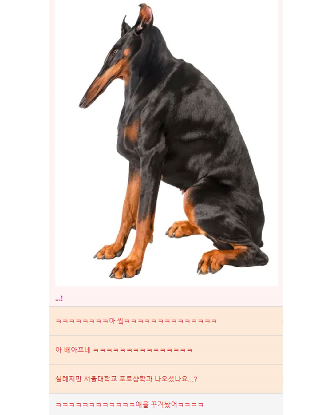 504486040_1014336630869721_8267390749680419488_n.jpg