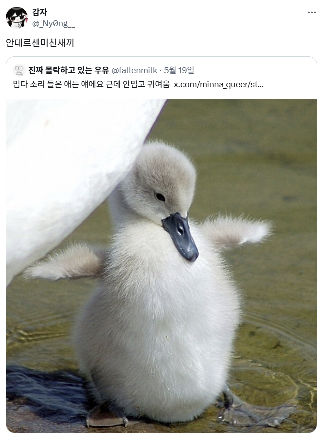 스크린샷 2025-06-27 013508.png