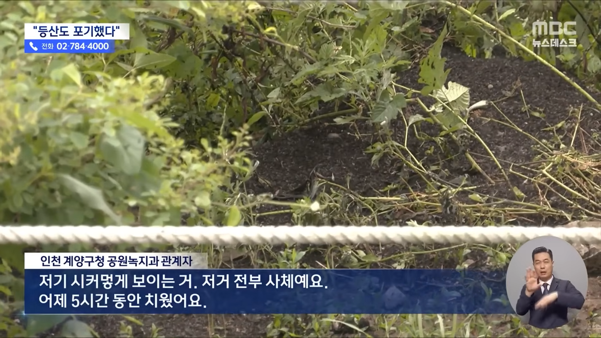 진짜 가시게_ 30억 마리 있어_.',설마', 했다가 ',와 미쳤다.', [뉴스.zip_MBC뉴스] 0-56 screenshot.png
