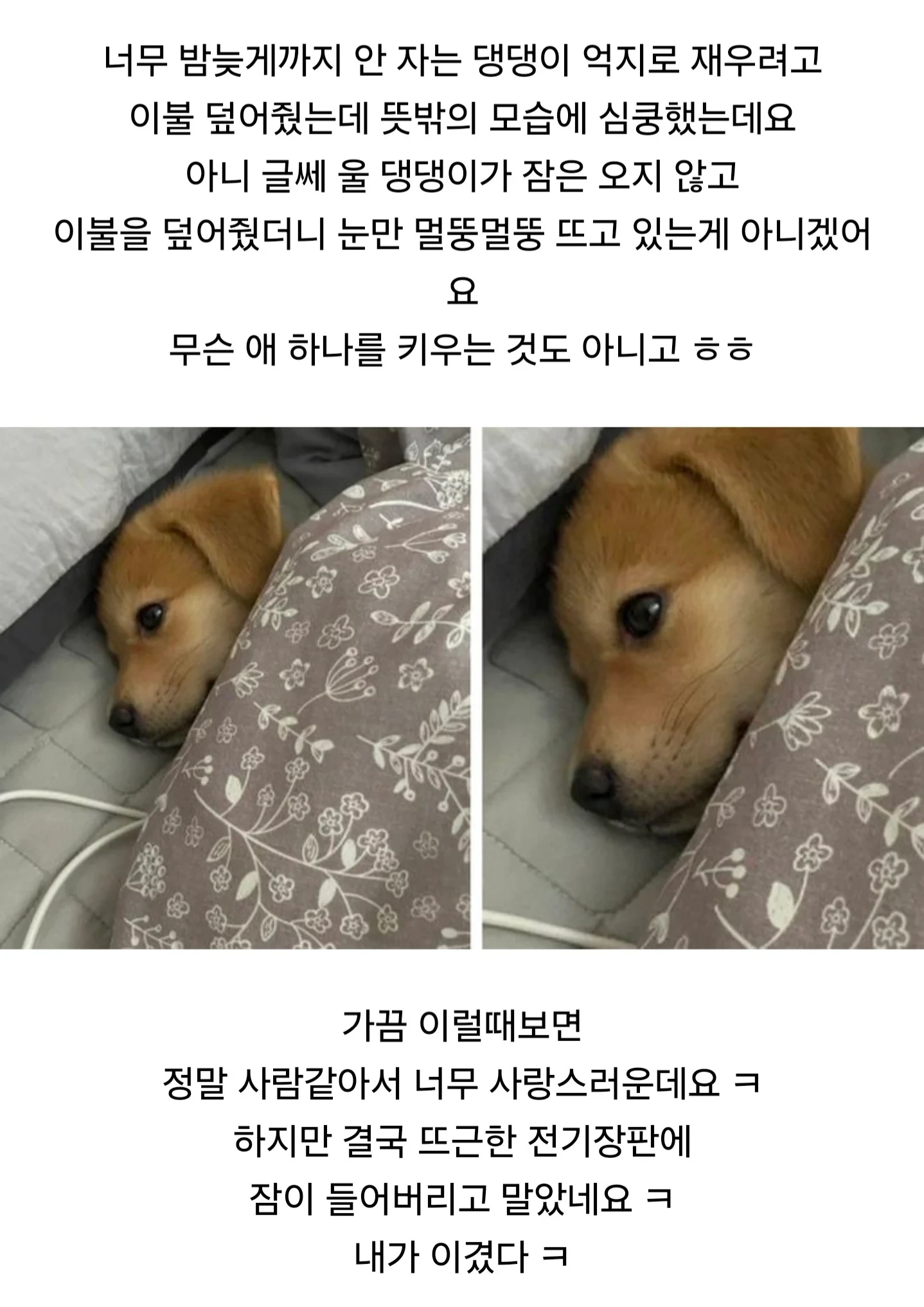 2JaLPQRvQk20qu88umi2wQ_20250704_140522_759.webp