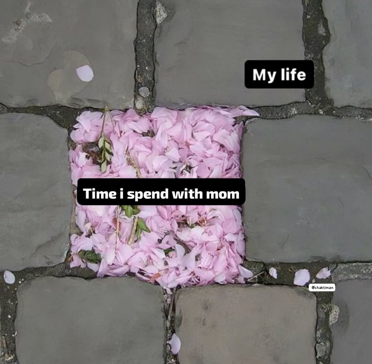 Gu53ngRWAAAzt7T.jpeg