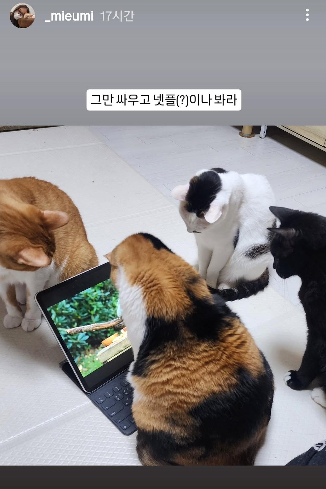 Screenshot_20250704_150150_Instagram.jpg