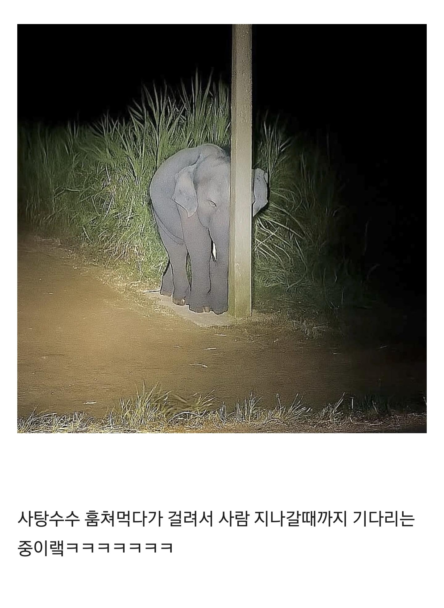 7xIPb1CgWAqUYAEomYamwK.jpg
