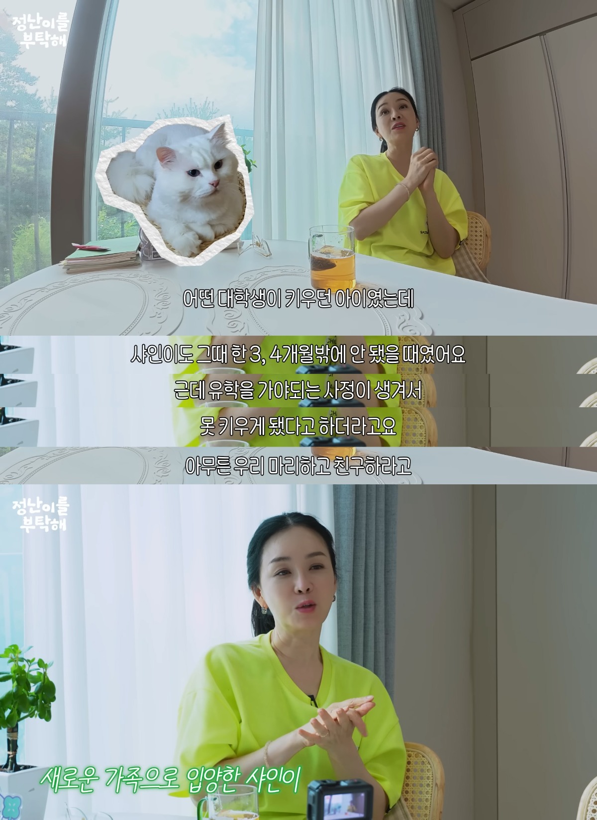 3nkPD8QkG44c2qAgGA0iI.jpg