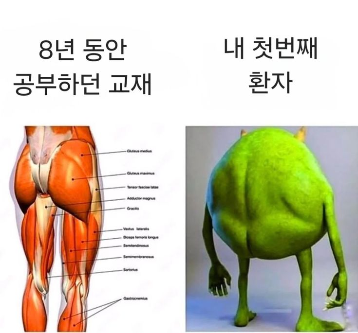 9c85aec1fde4d68e6018c0b808f02385.jpg