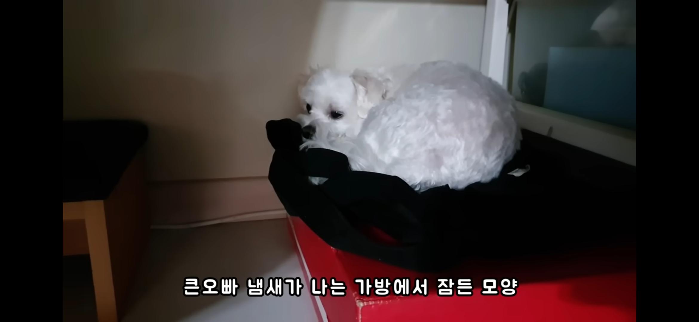Screenshot_20250730_214601_YouTube.jpg