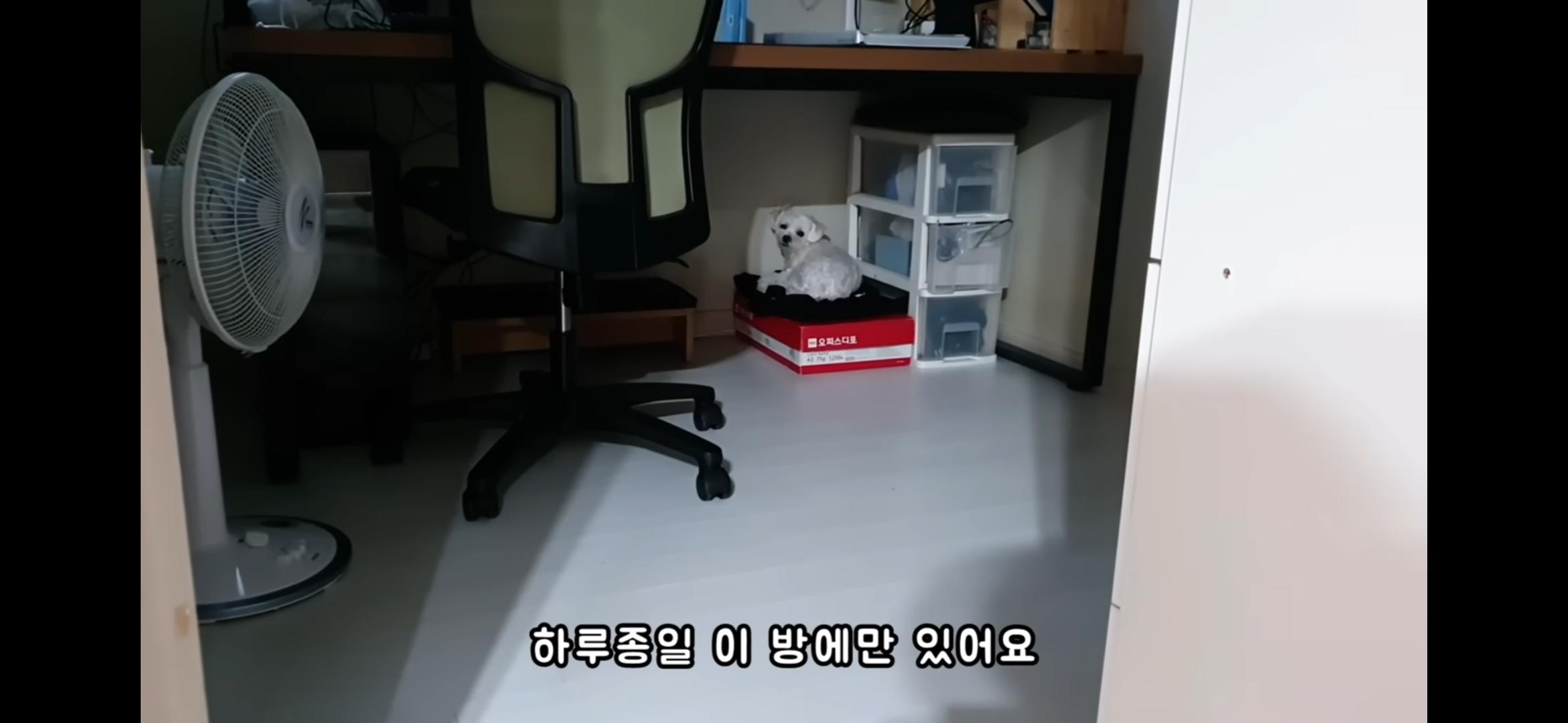 Screenshot_20250730_214551_YouTube.jpg