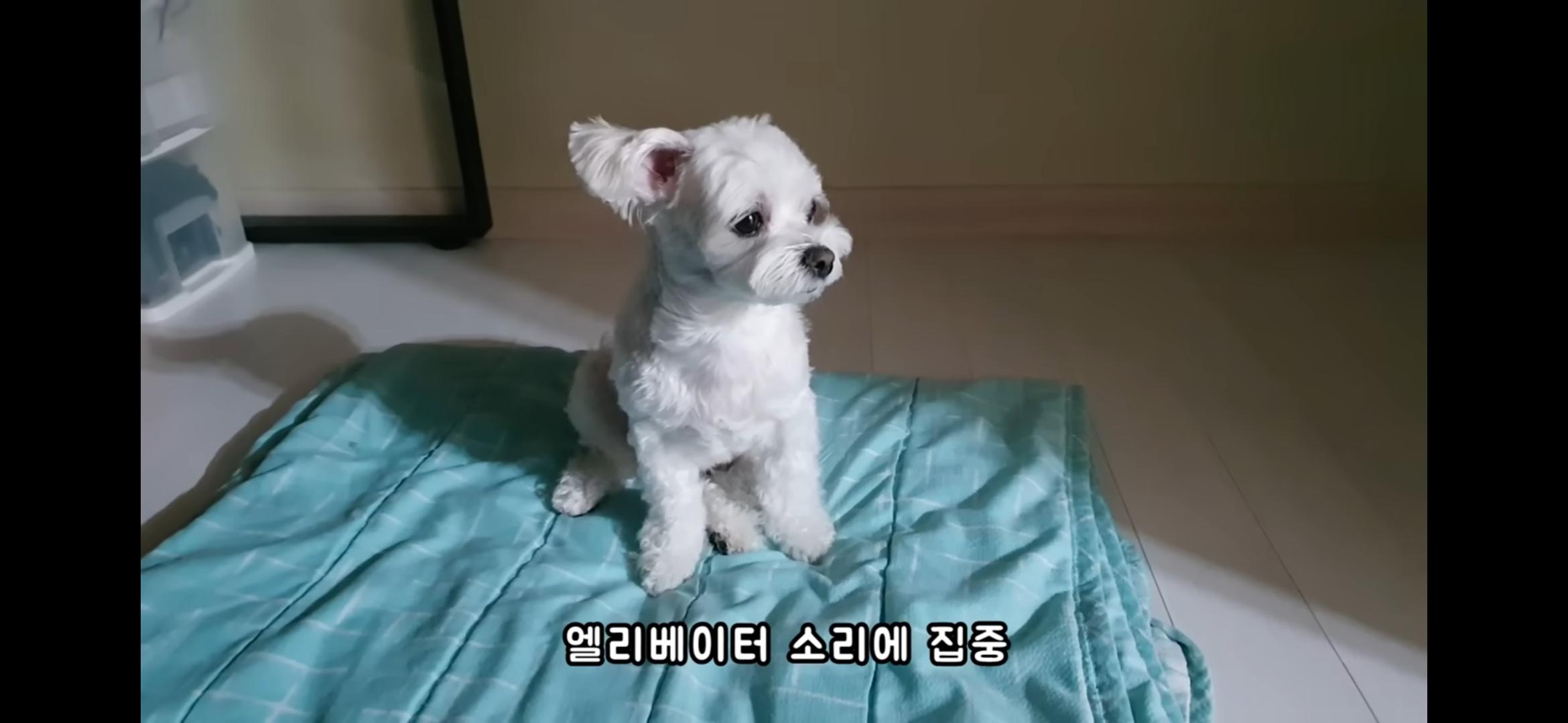Screenshot_20250730_214634_YouTube.jpg