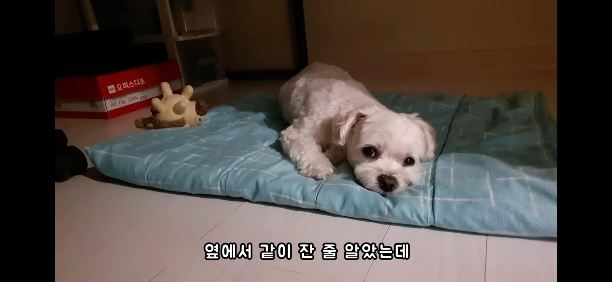 Screenshot_20250730_214657_YouTube.jpg