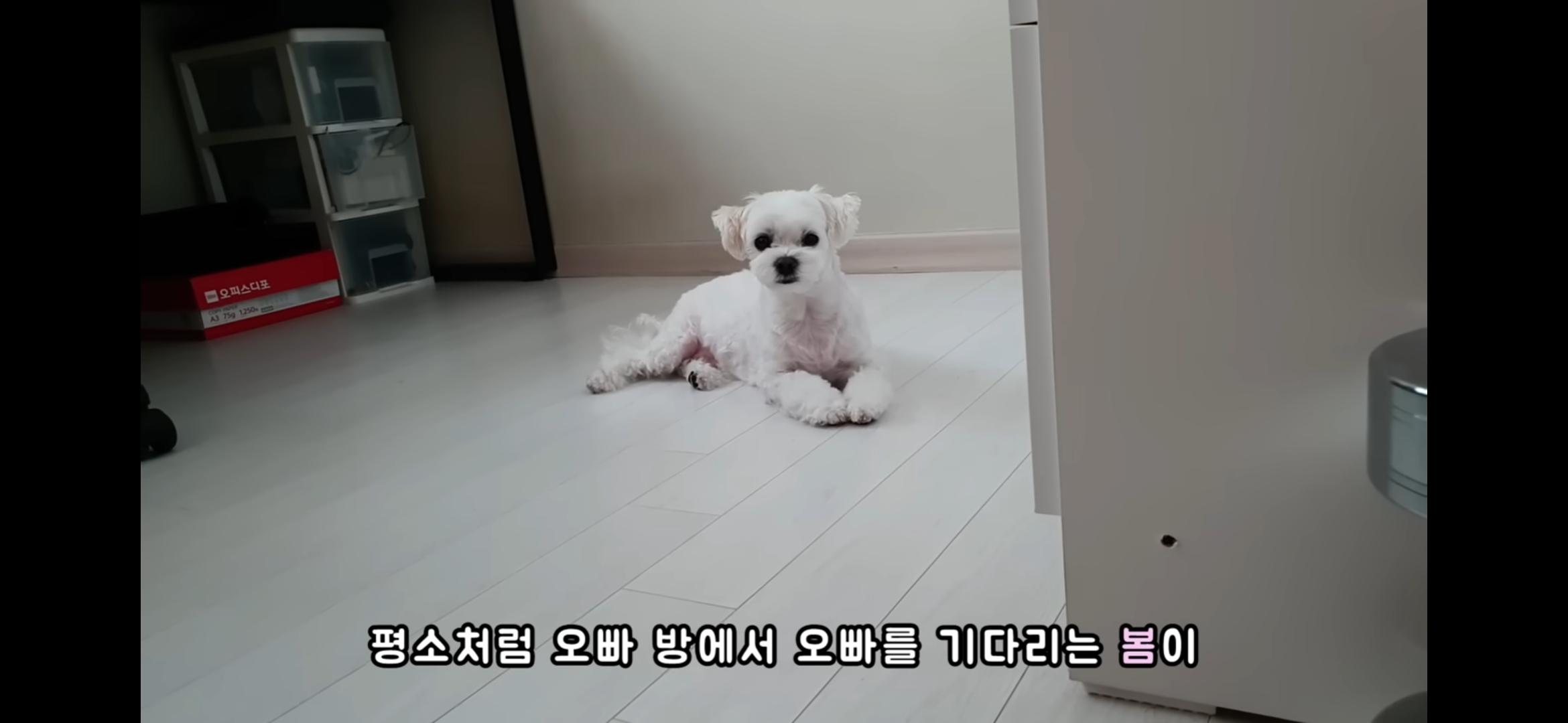 Screenshot_20250730_214544_YouTube.jpg