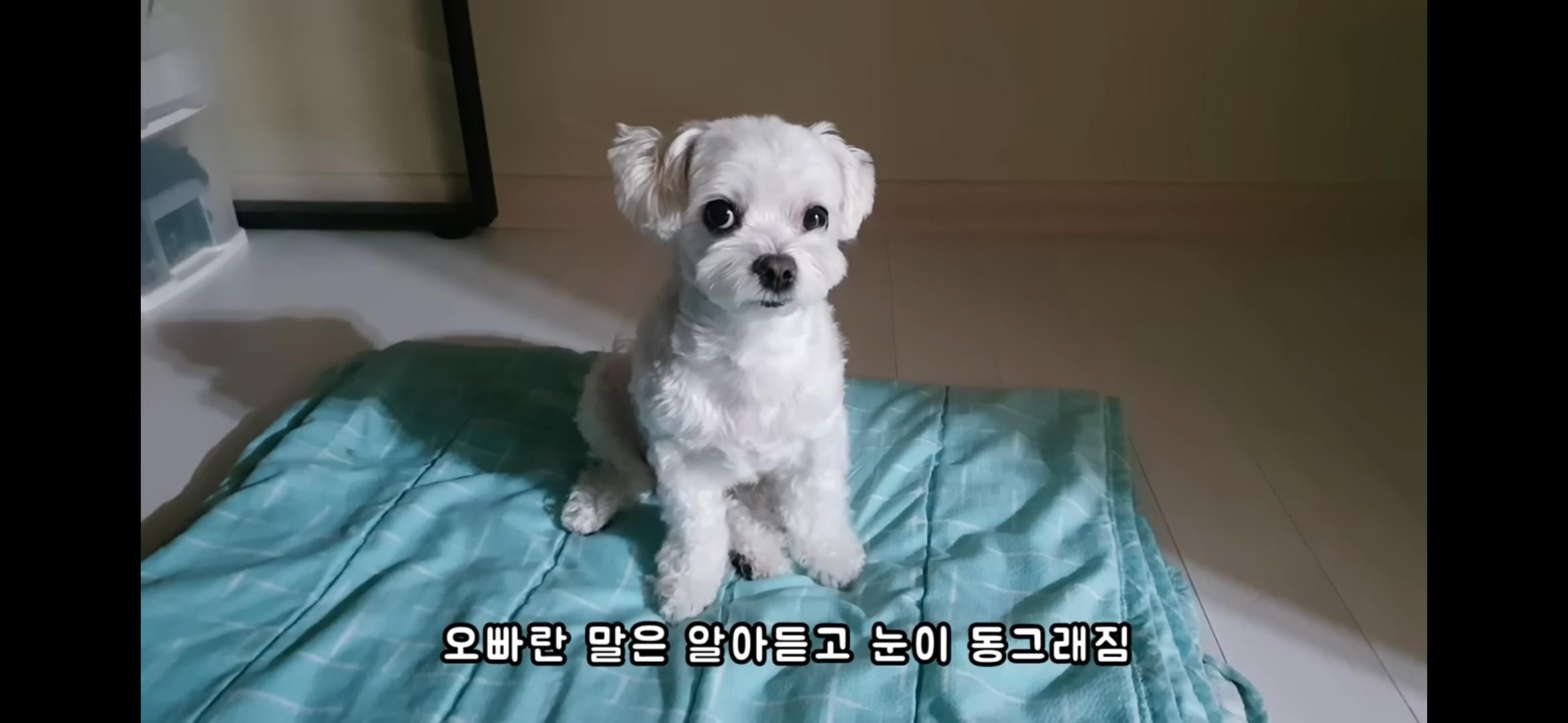 Screenshot_20250730_214640_YouTube.jpg