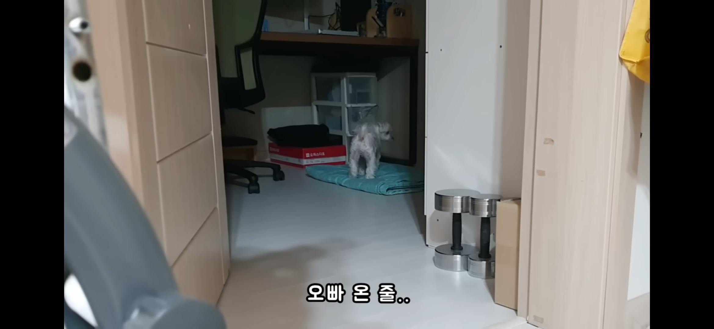 Screenshot_20250730_214618_YouTube.jpg