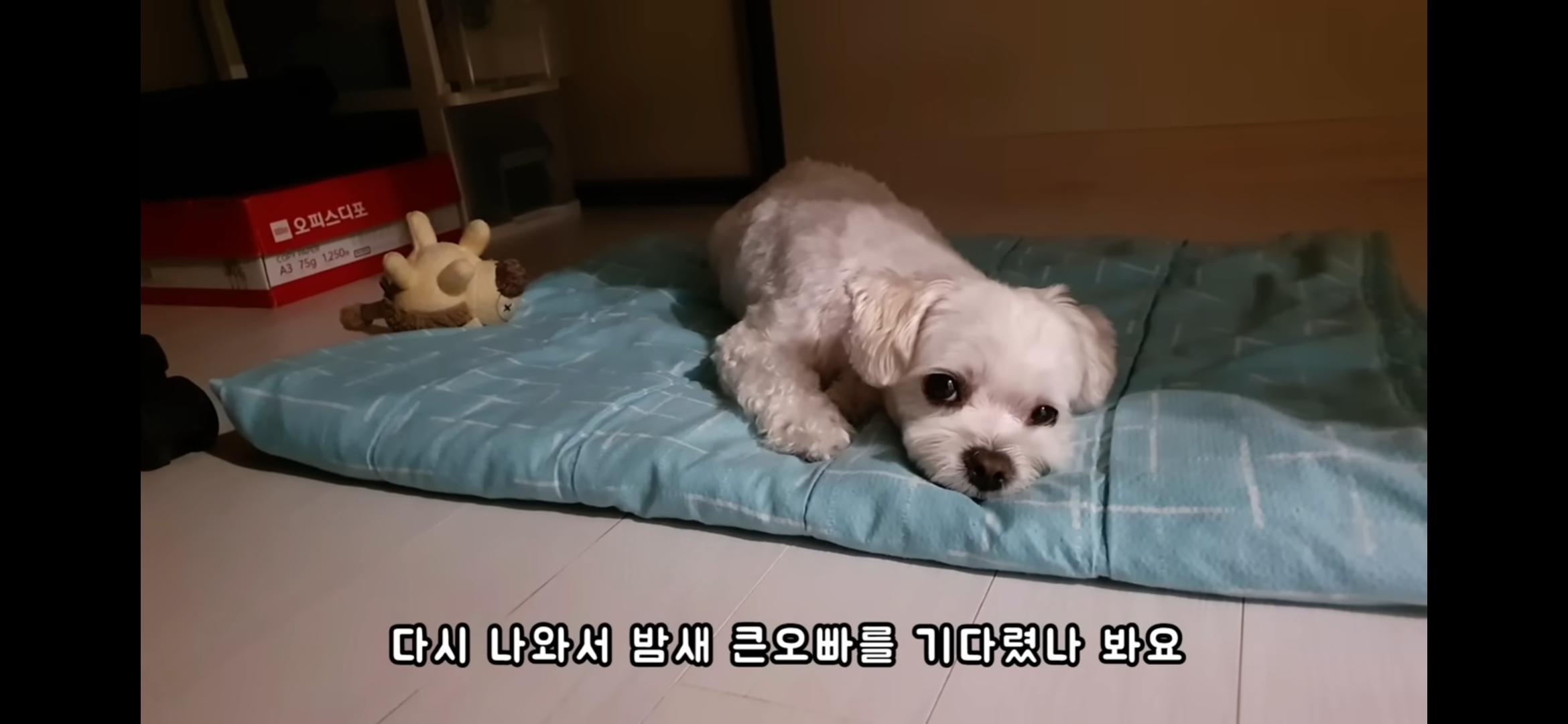Screenshot_20250730_214704_YouTube.jpg