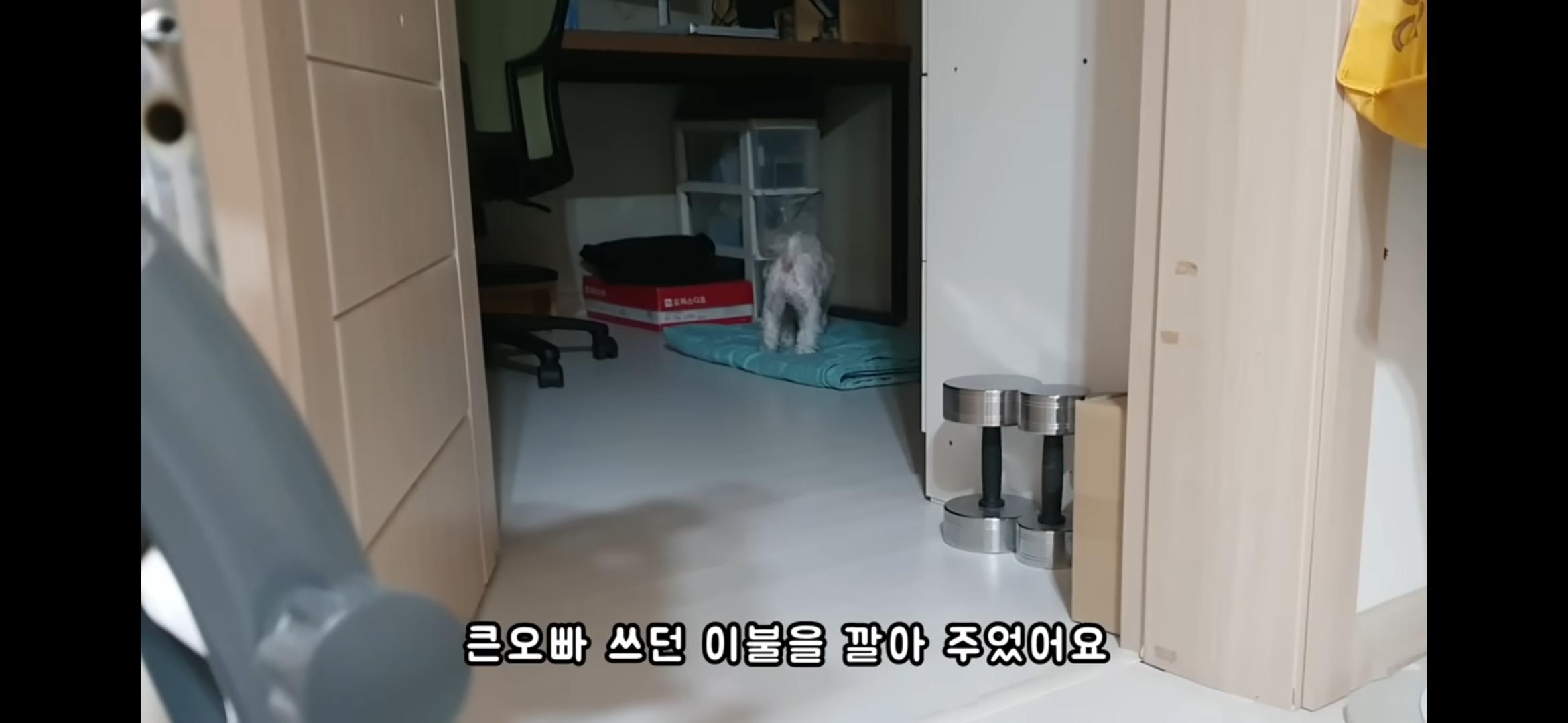 Screenshot_20250730_214629_YouTube.jpg