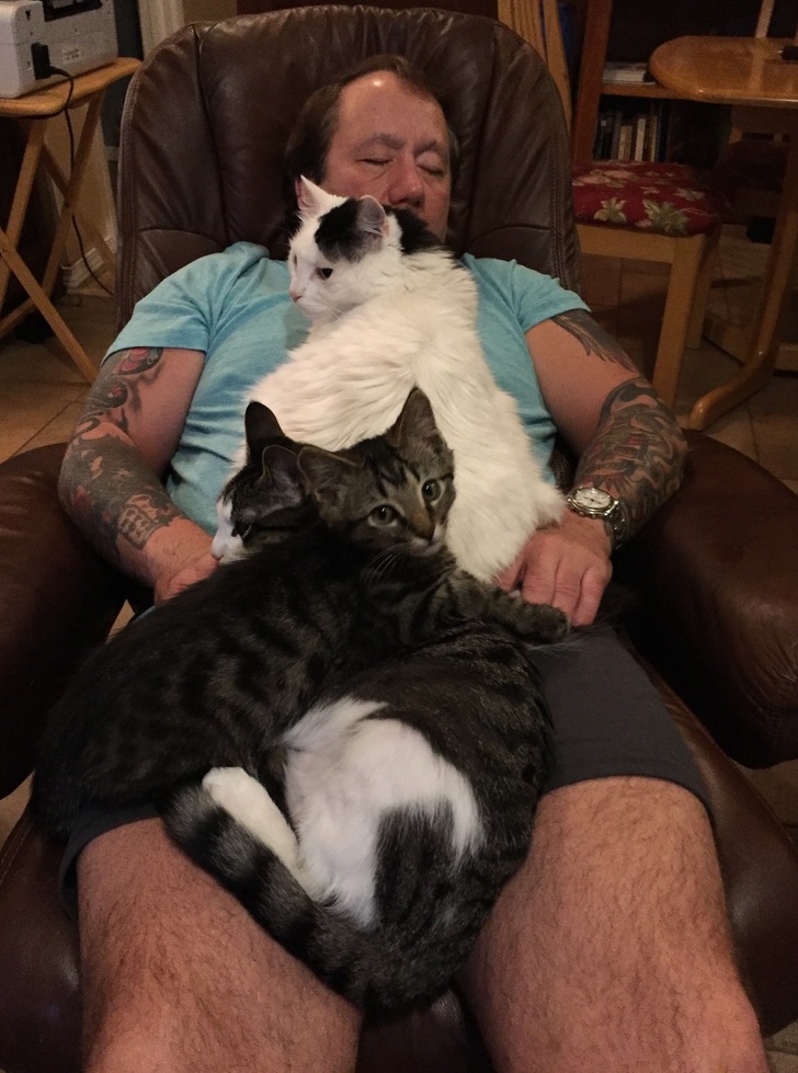 cats-owner-relaxing.jpg
