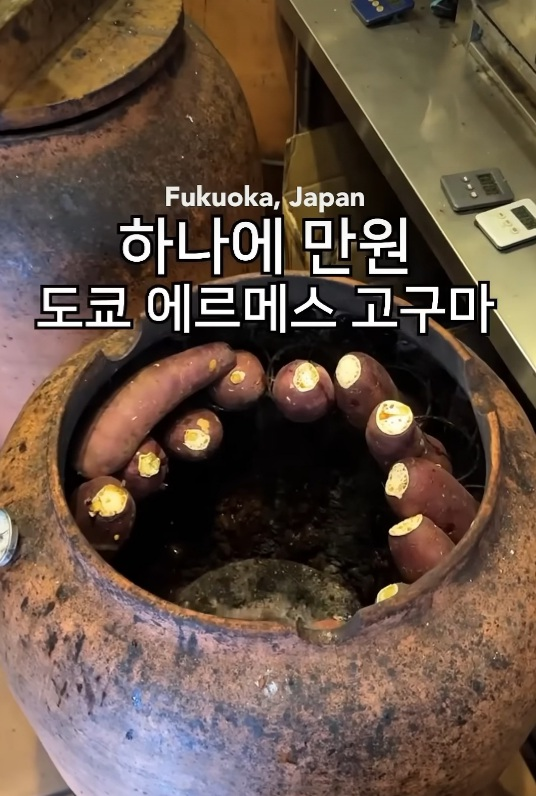고구마 하나에 만원 일본 ‭에르메스 ‭고구마 | 인스티즈