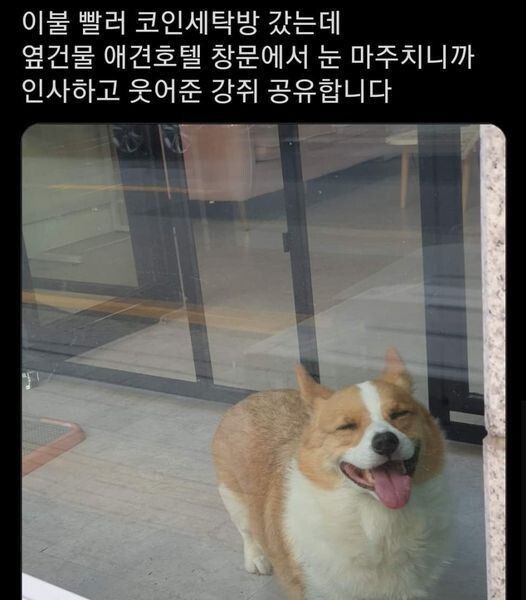 이불 빨러 간 길에 만난 갱얼쥐 | 인스티즈