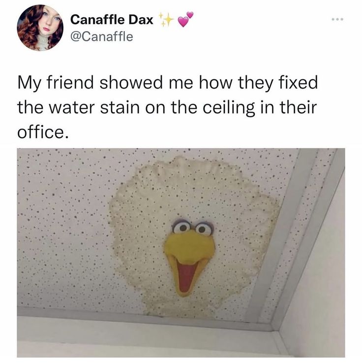친구가 사무실 천장의 물얼룩을 고쳤음 | 인스티즈
