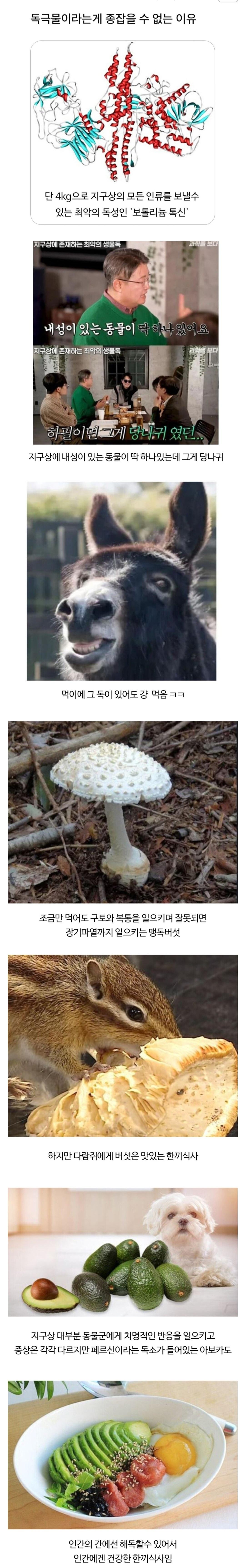 독극물이라는게 종잡을 수 없는 이유 | 인스티즈