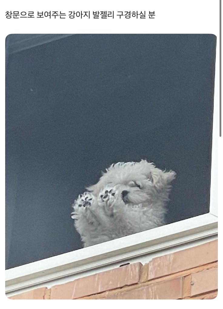 내 발젤리를 봐 | 인스티즈